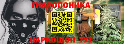 шишки Кунгур