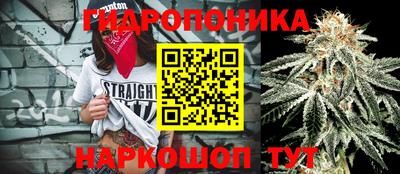 шишки Кунгур
